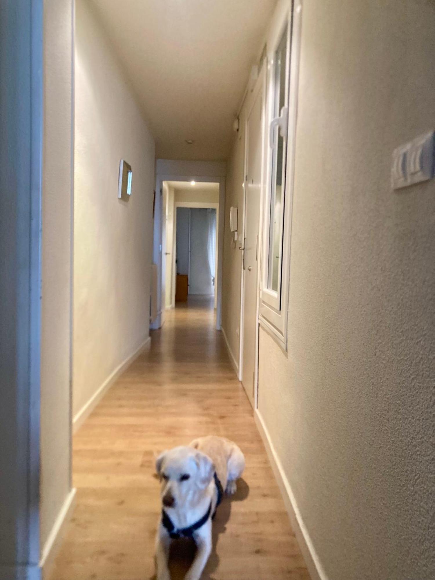 Apartamento San Gregorio Παμπλόνα Εξωτερικό φωτογραφία